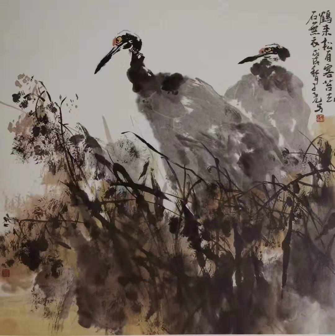 新作速递（一）