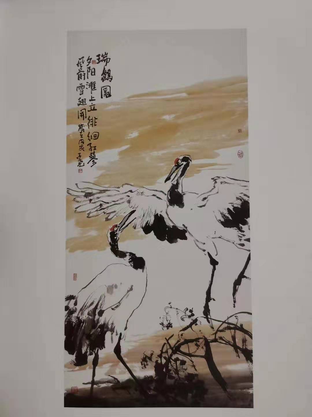 新作速递（一）