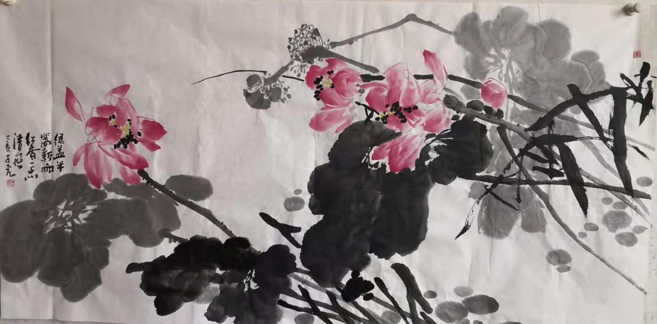 新作速递（四）