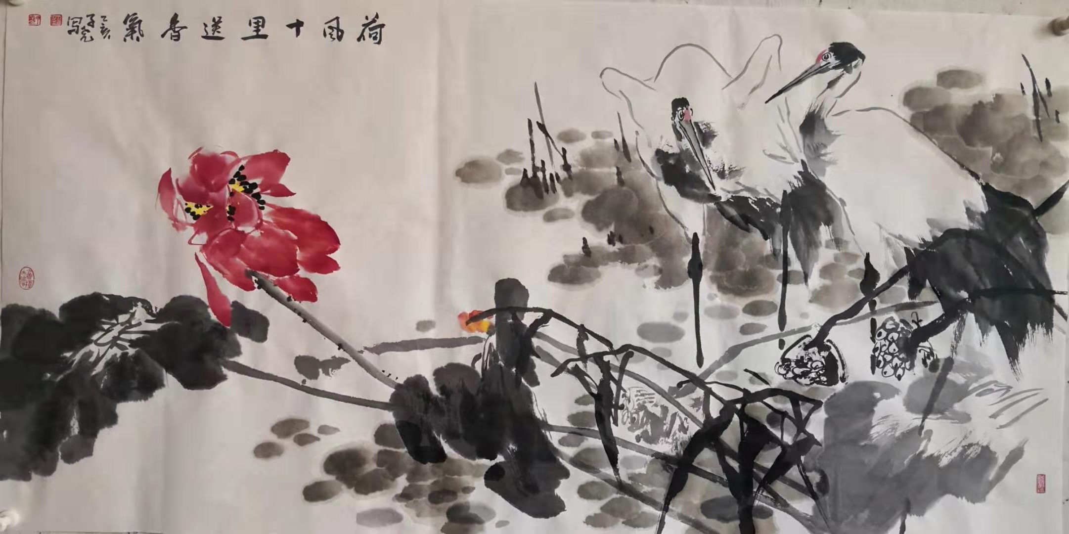 新作速递（四）