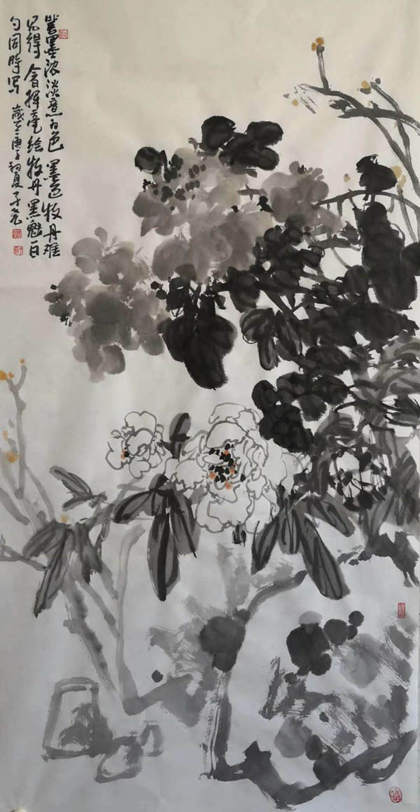 新作速递（十）