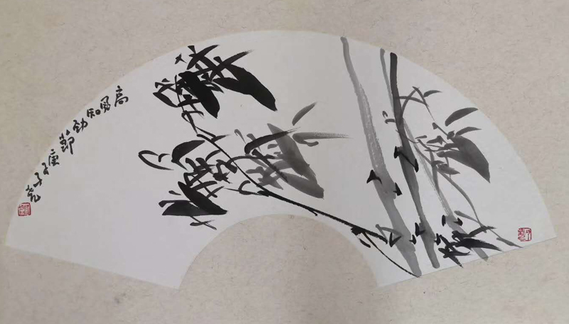 新作速递（十七）