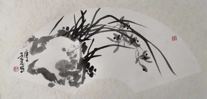 新作速递（十七）